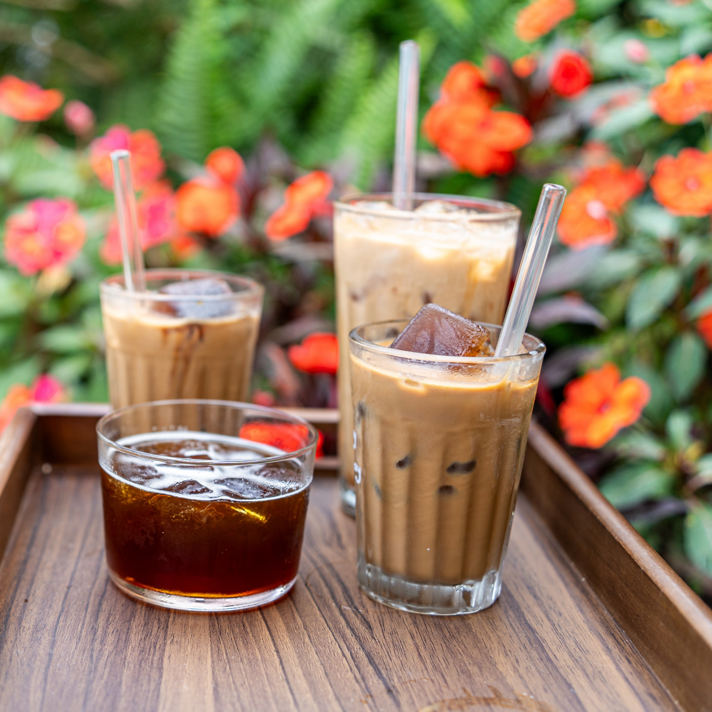Cold Brew Coffee